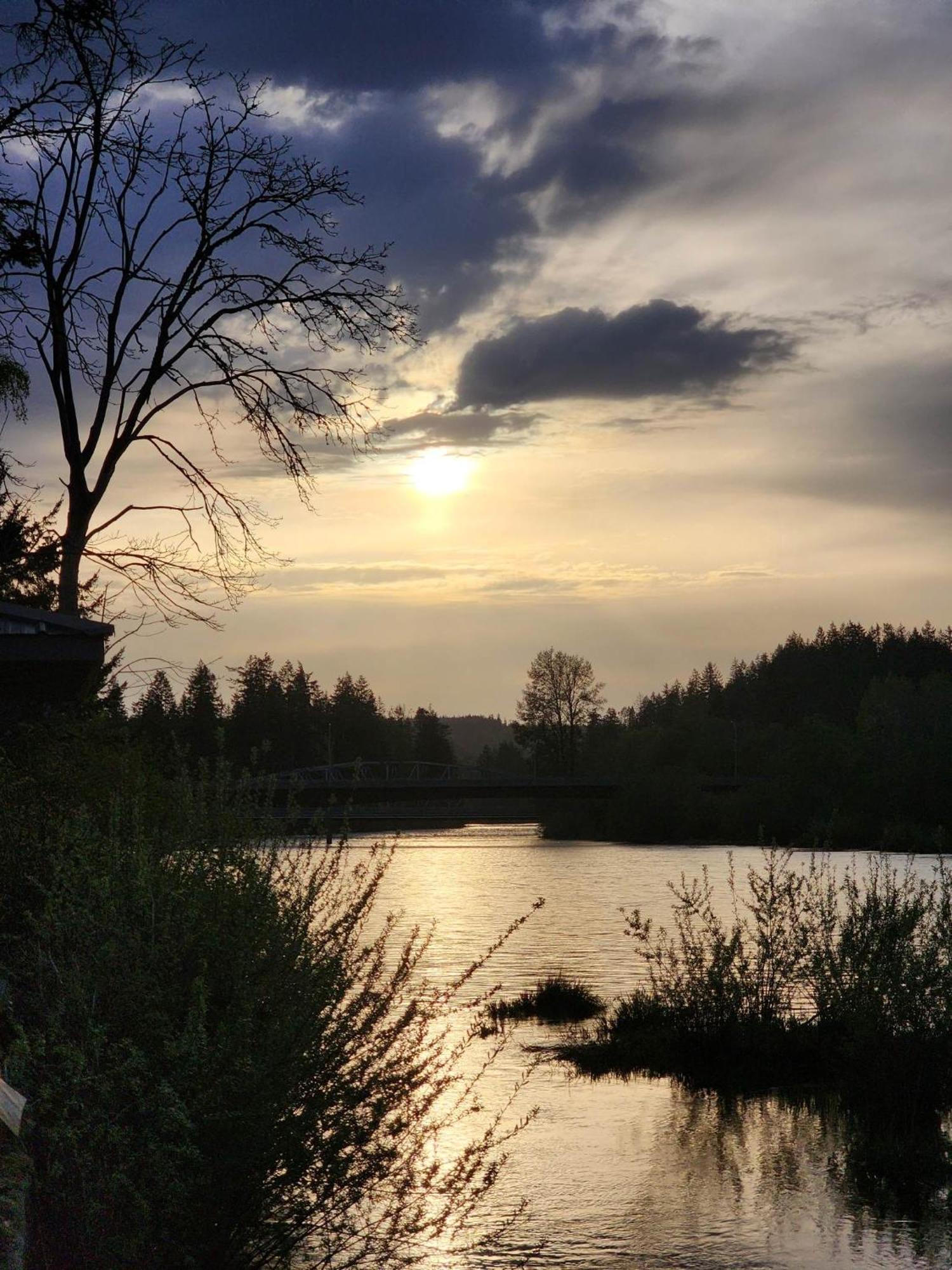 Campbell River Lodge by Riverside Eksteriør billede